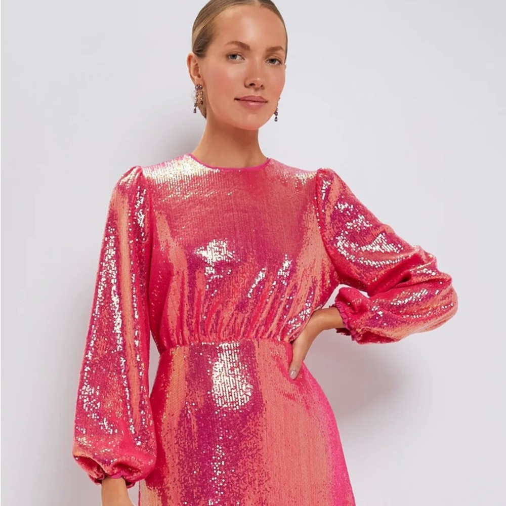 Tuckernuck sequin dress